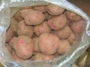 20 kg de patatas rojas, red pontiac
