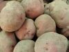 patatas rojas red pontiac